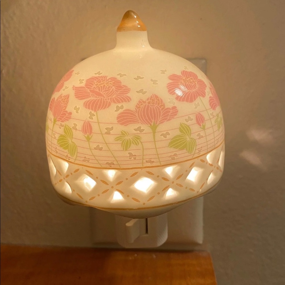 Beautiful porcelain wall plug-in night lights!!